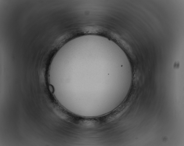 X0000100750209200807171419