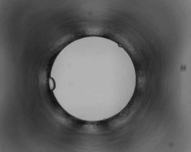 X0000100750211200807171419