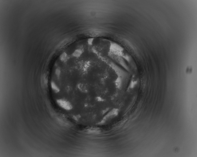X0000100750214200807171419