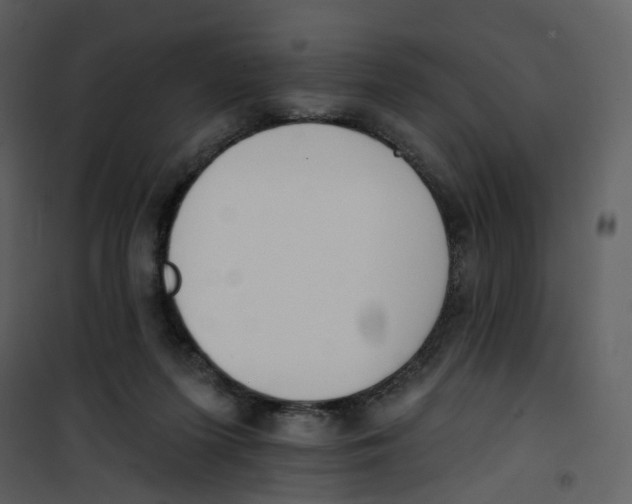 X0000100750215200807171419