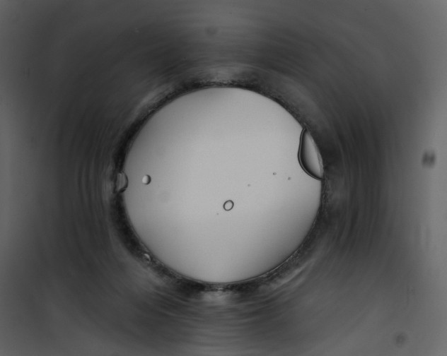 X0000100750216200807171419