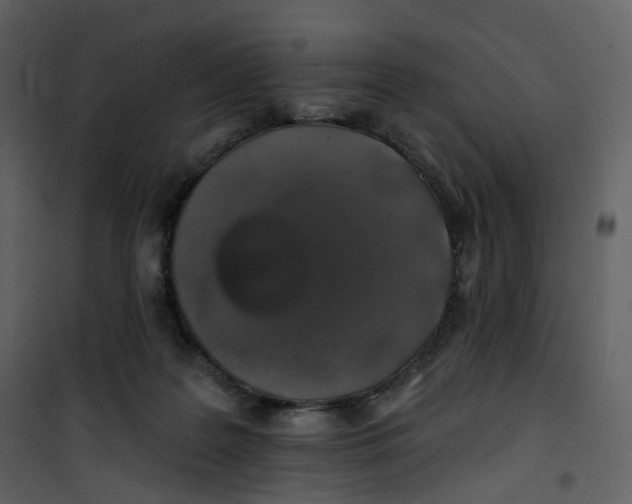 X0000100750219200807171419