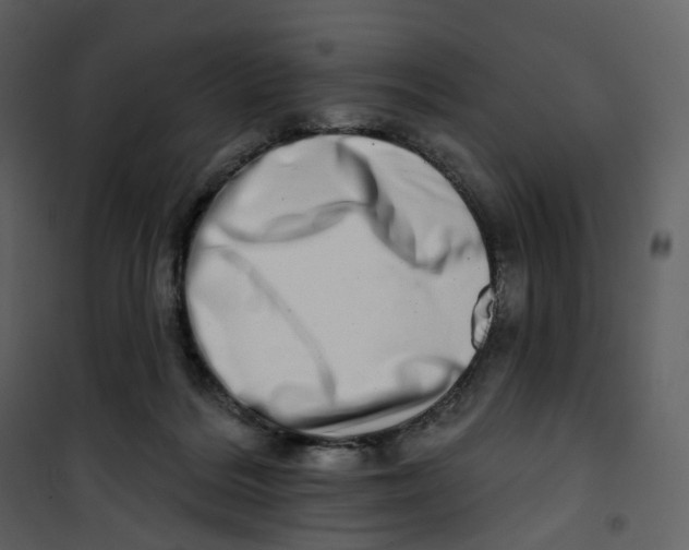 X0000100750220200807171419