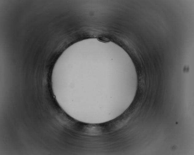 X0000100750221200807171419