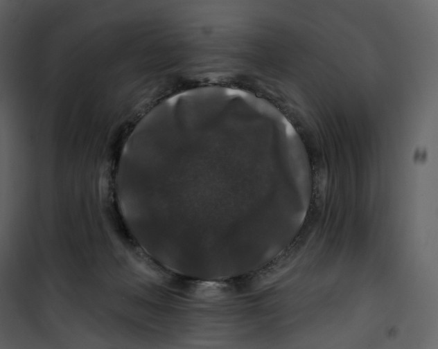 X0000100750222200807171419