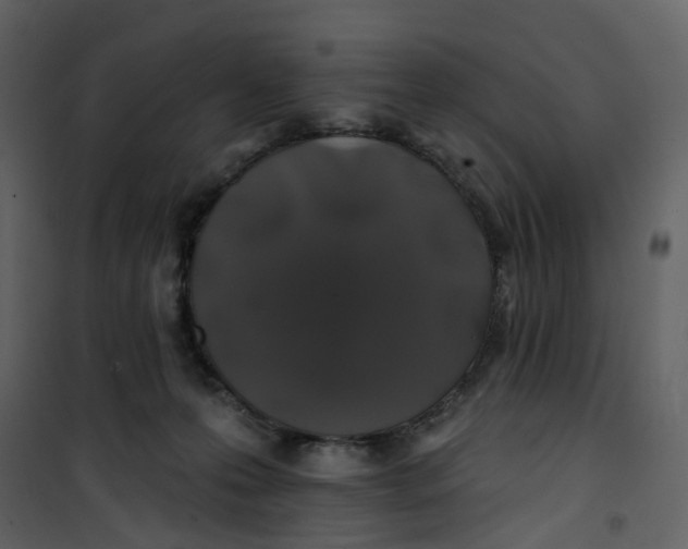 X0000100750223200807171419