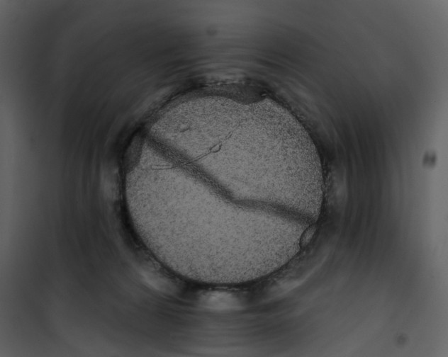 X0000100750224200807171419