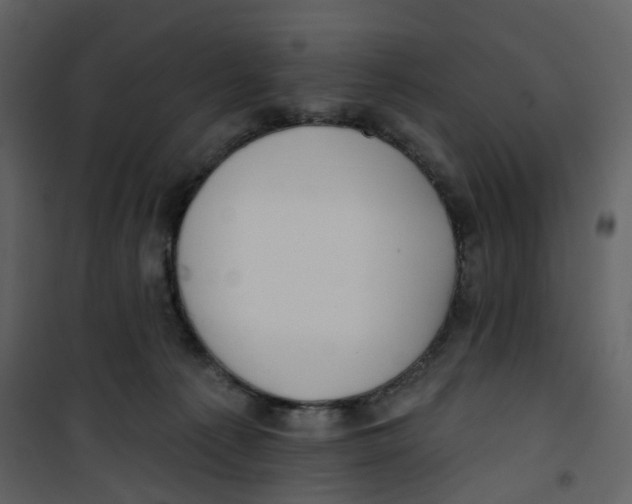 X0000100750225200807171419