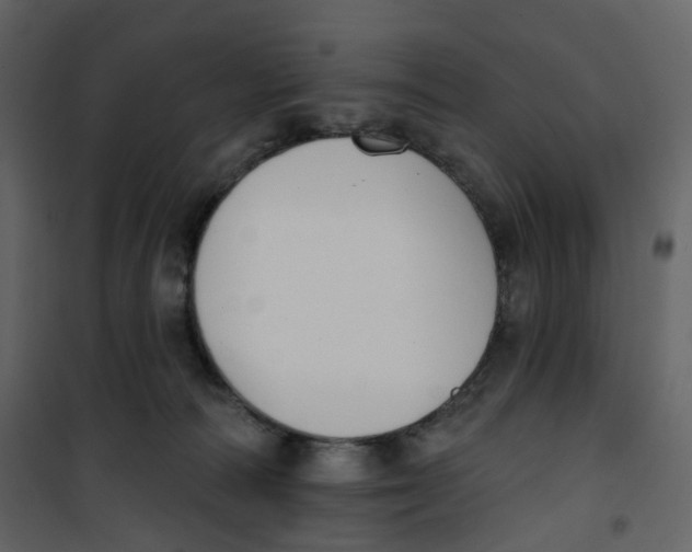 X0000100750226200807171419