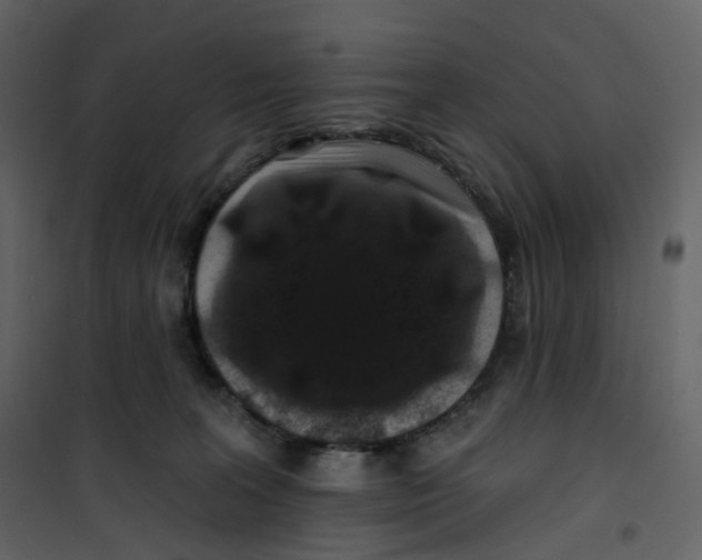 X0000100750227200807171419
