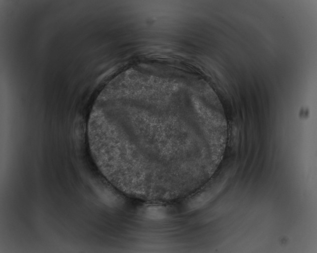 X0000100750228200807171419