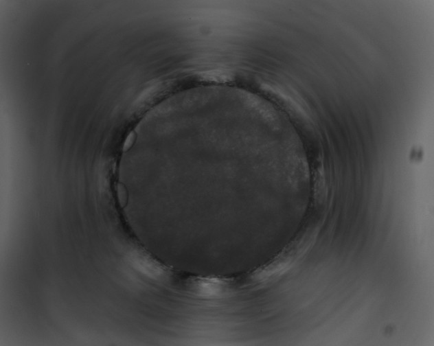 X0000100750229200807171419