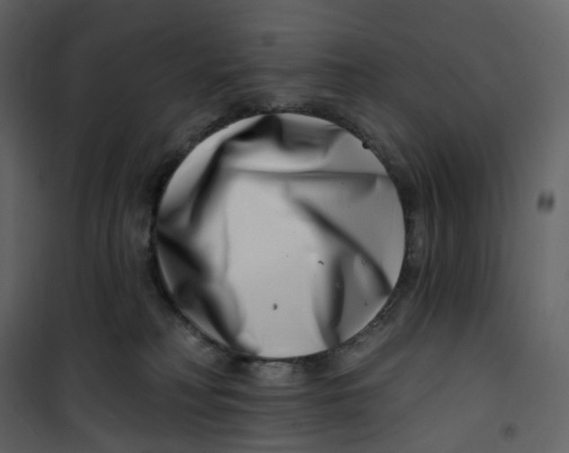 X0000100750230200807171419
