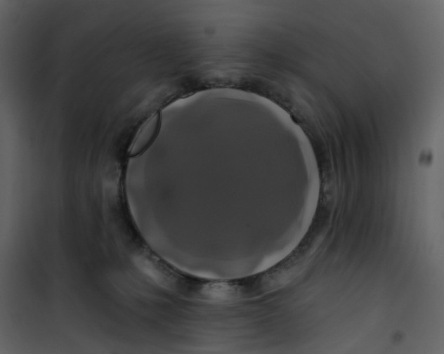 X0000100750231200807171419