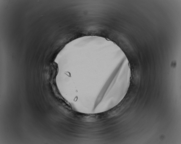 X0000100750232200807171419
