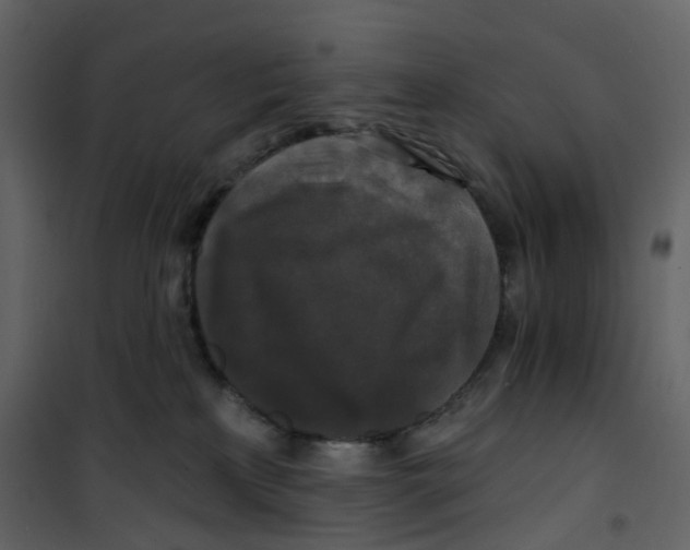 X0000100750233200807171419