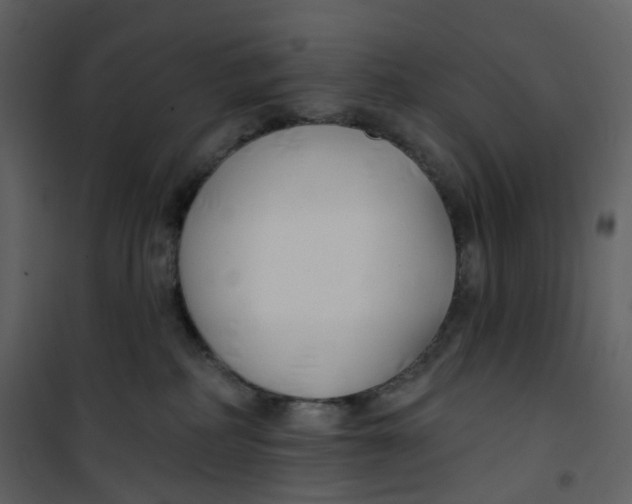 X0000100750234200807171419