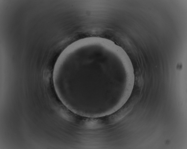 X0000100750235200807171419