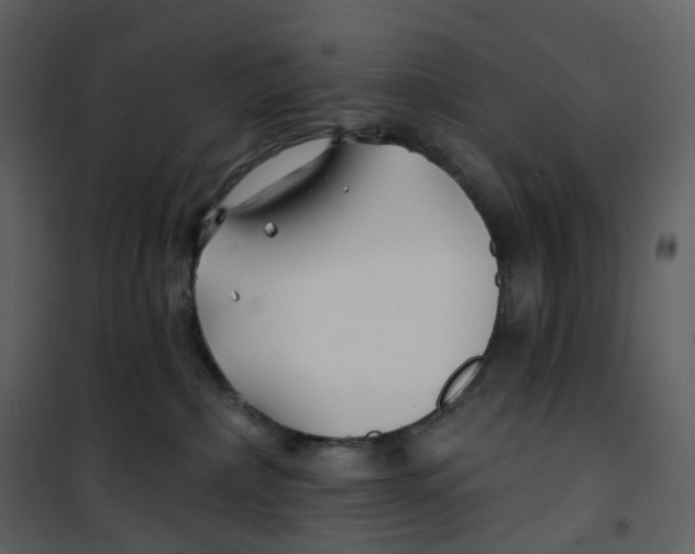 X0000100750236200807171419