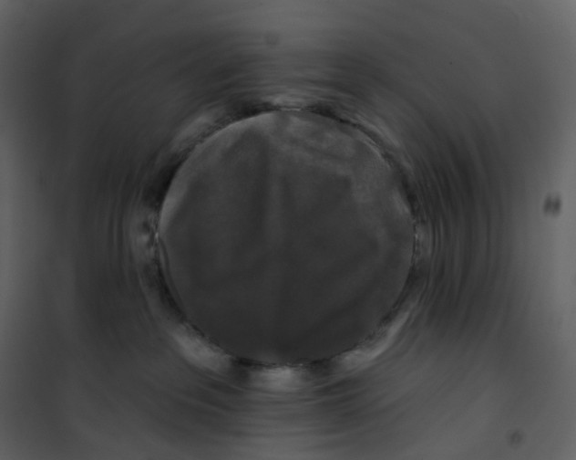 X0000100750237200807171419