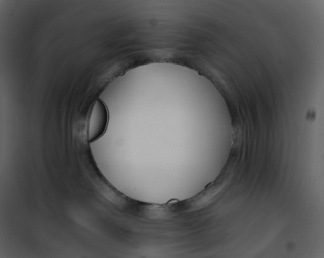 X0000100750238200807171419