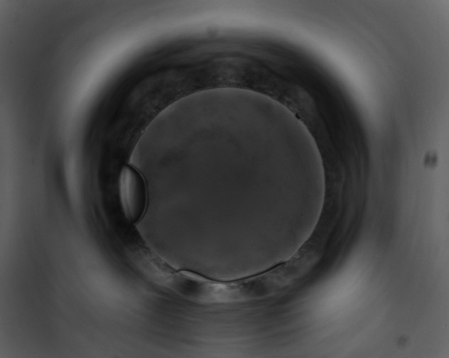 X0000100750239200807171419