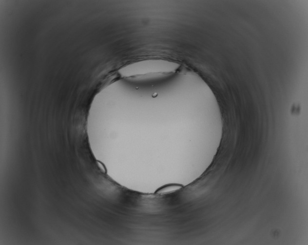 X0000100750240200807171419