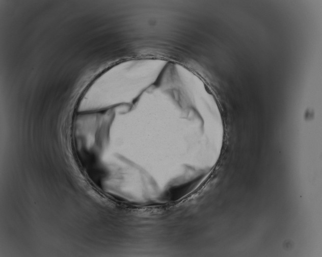 X0000100750241200807171418