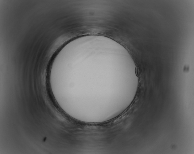 X0000100750242200807171418