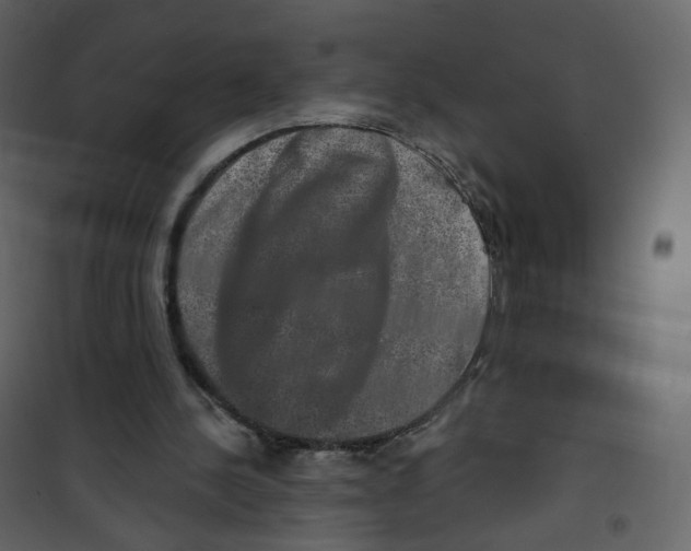 X0000100750244200807171418
