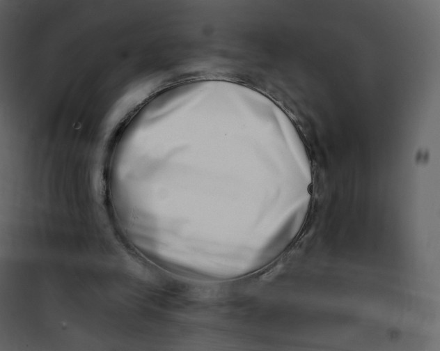 X0000100750245200807171418