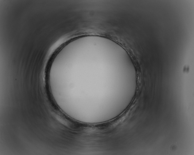 X0000100750246200807171418