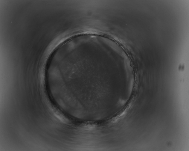 X0000100750247200807171418