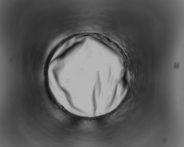 X0000100750248200807171418