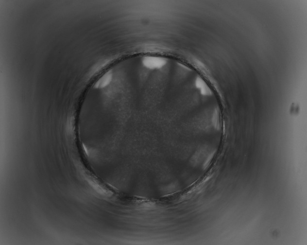 X0000100750249200807171418