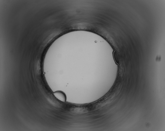 X0000100750251200807171418