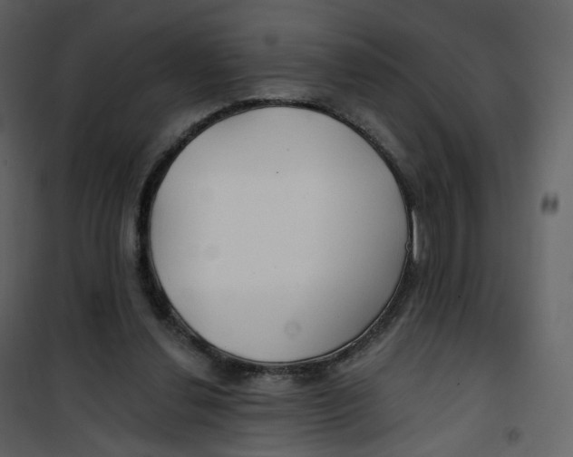 X0000100750252200807171418