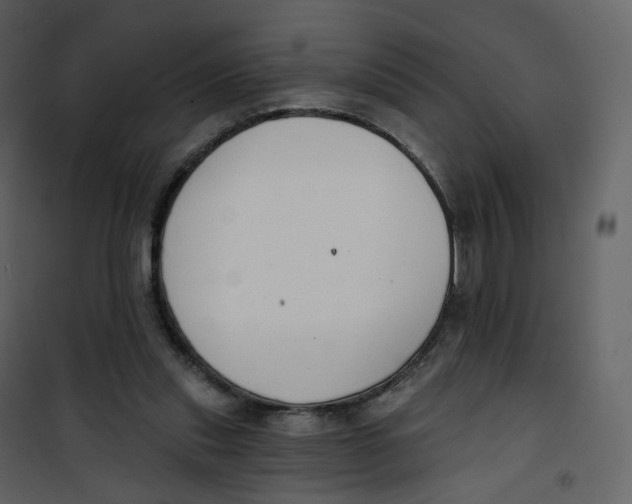 X0000100750253200807171418