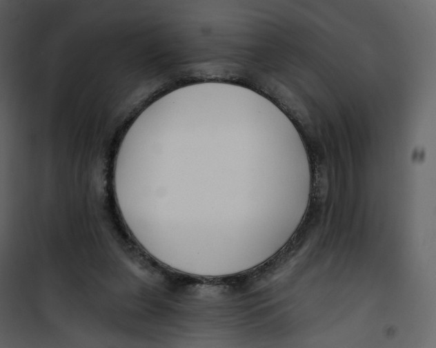 X0000100750255200807171418