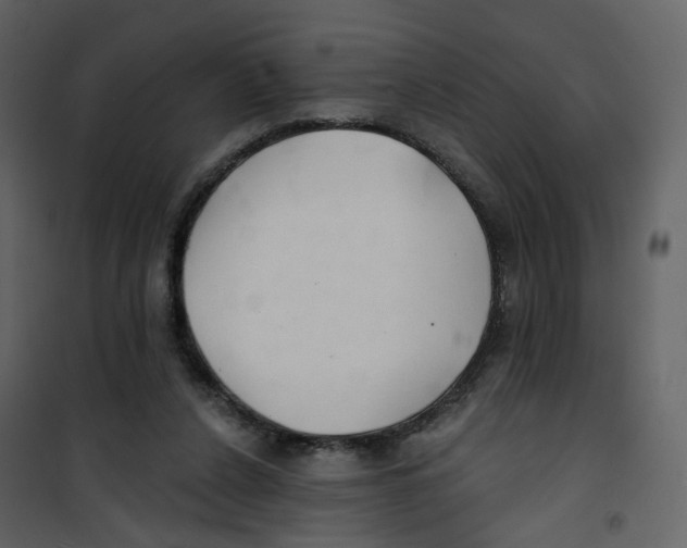 X0000100750256200807171418