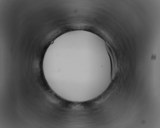 X0000100750258200807171418