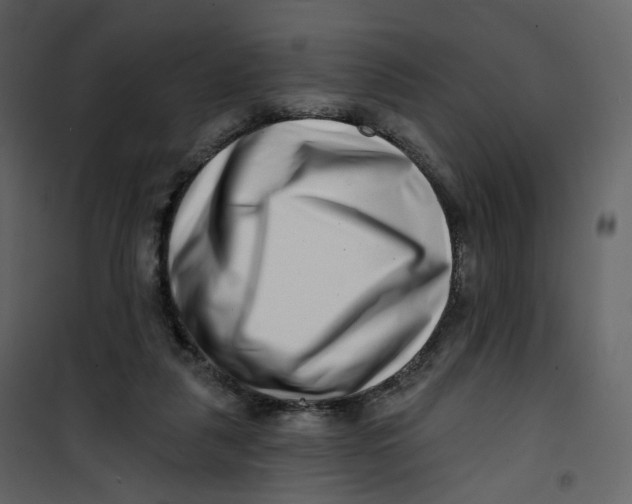 X0000100750259200807171418