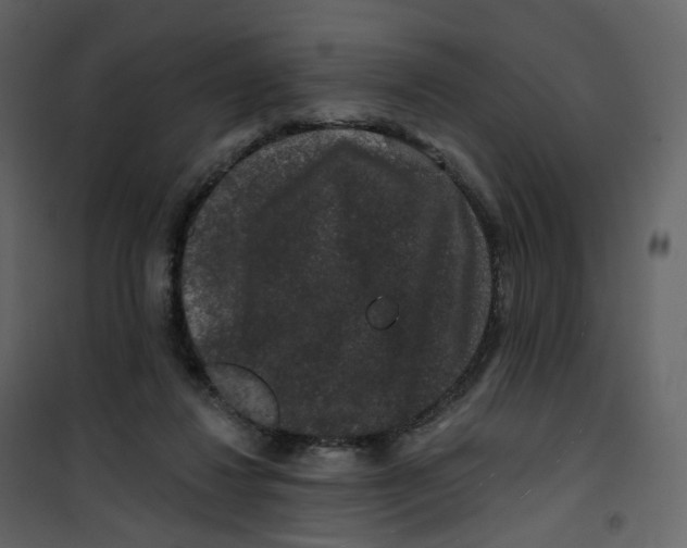 X0000100750260200807171418