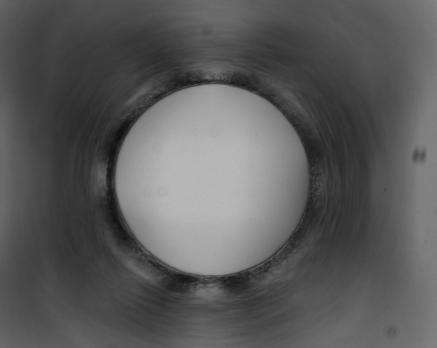 X0000100750262200807171419
