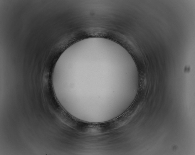 X0000100750263200807171419