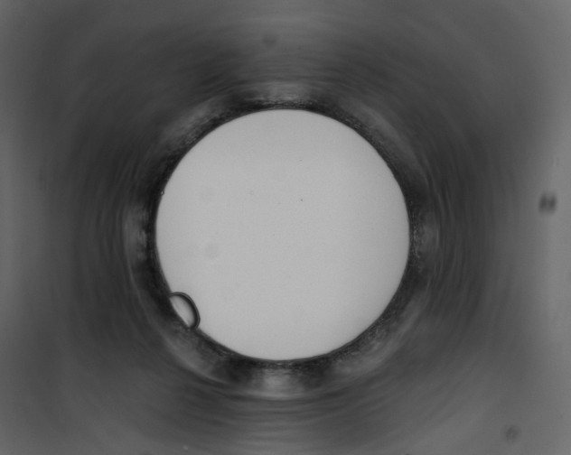 X0000100750264200807171419