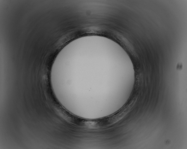 X0000100750265200807171419