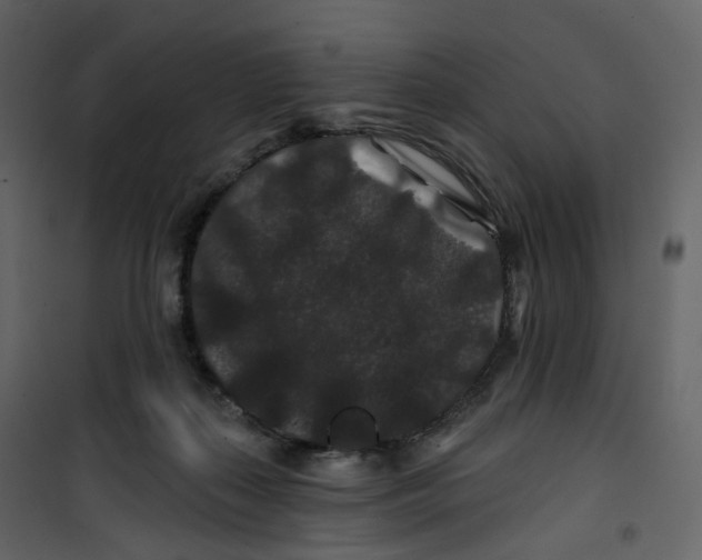 X0000100750267200807171419