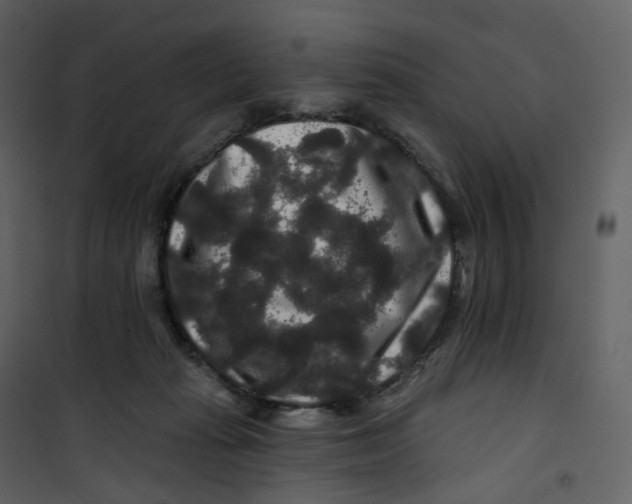 X0000100750269200807171419