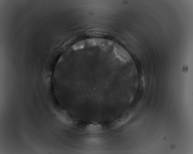 X0000100750271200807171419